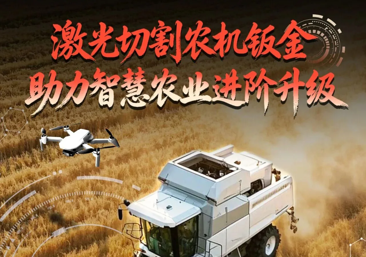 丁香花在线视频观看免费示例24