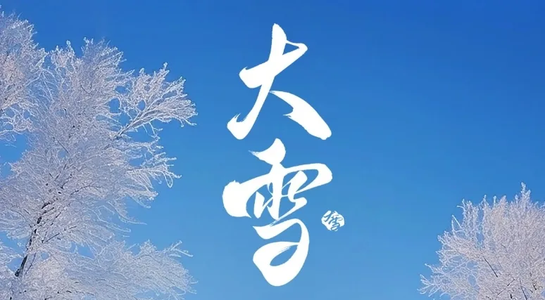 丁香花视频资源在线观看 · 图-25